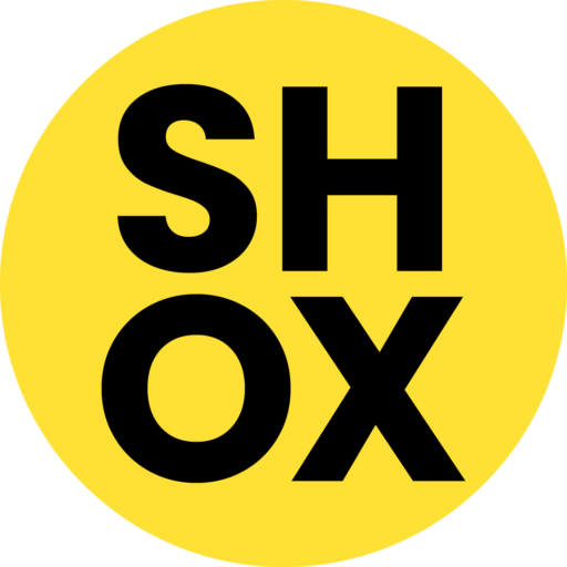 SHOX – Artysta sztuk wizualnych, Muzyk